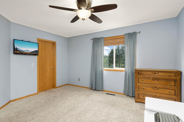 9005 349th Ave NW, Wyanett Twp, MN 55371 - photo 11