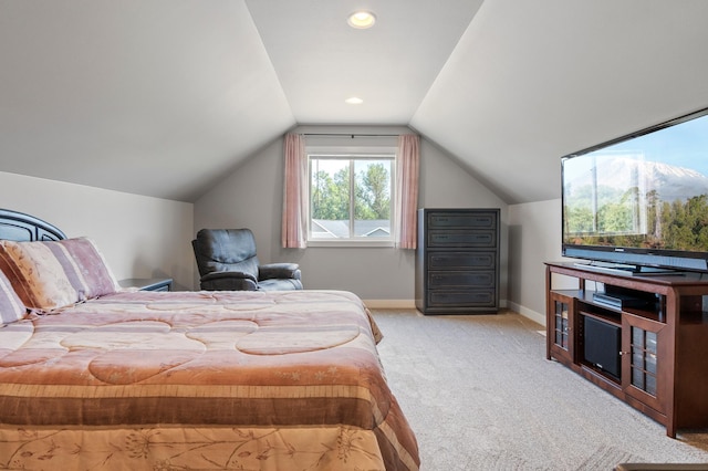 250 Rodeo Rd, Alexandria, MN 56308 - photo 26
