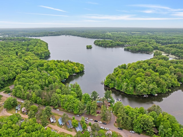 16734 Maple Terrace Dr, Birchwood, WI 54817