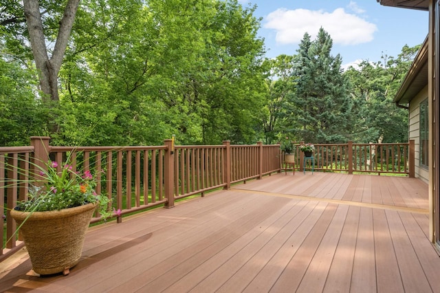 4711 White Oak Ct, Eagan, MN 55122 - photo 31