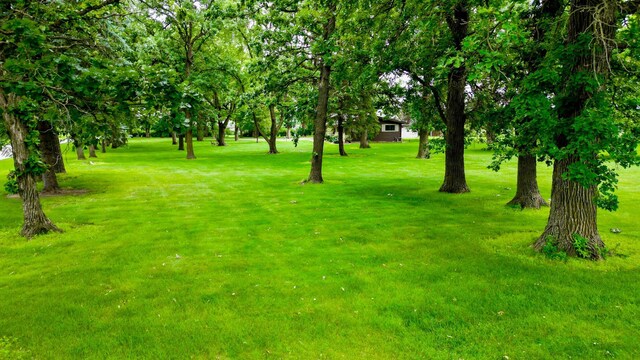 131 County Road 56, Le Roy, MN 55951 - photo 7