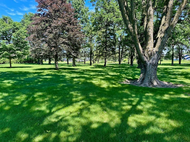 131 County Road 56, Le Roy, MN 55951 - photo 11
