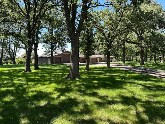 131 County Road 56, Le Roy, MN 55951 - photo 16