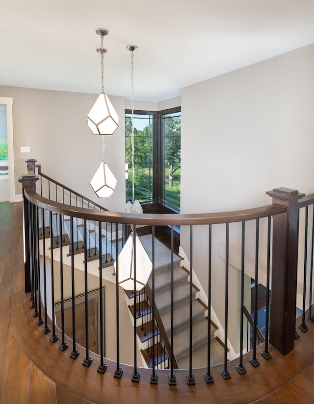 3776 Woodland Cove Pkwy, Minnetrista, MN 55331 - photo 44