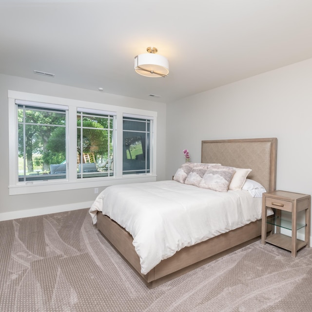 3776 Woodland Cove Pkwy, Minnetrista, MN 55331 - photo 80