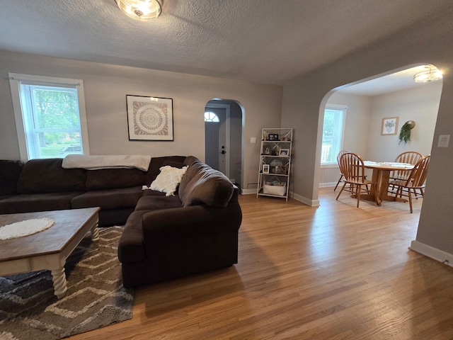 818 Kenwood St, Alexandria, MN 56308 - living room featuring arched walkways, wood finished floors, healthy amount of natural light, and a textured ceiling