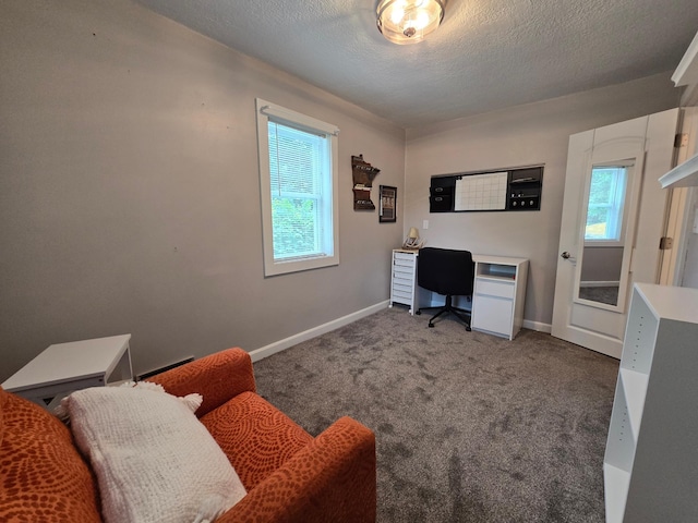 818 Kenwood St, Alexandria, MN 56308 - carpeted home office with baseboards and a textured ceiling