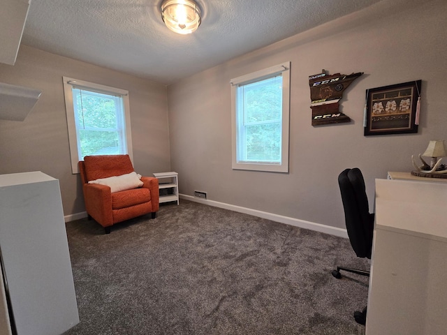 818 Kenwood St, Alexandria, MN 56308 - office space with a textured ceiling and dark colored carpet
