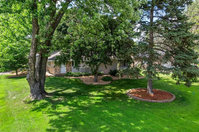4801 Louisiana Ave N, Crystal, MN 55428 - view of grassy yard