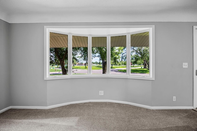 4801 Louisiana Ave N, Crystal, MN 55428 - carpeted empty room with baseboards