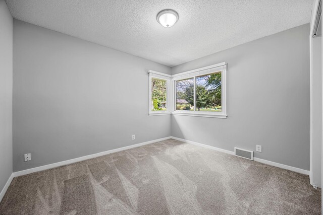 4801 Louisiana Ave N, Crystal, MN 55428 - empty room with a textured ceiling and carpet flooring