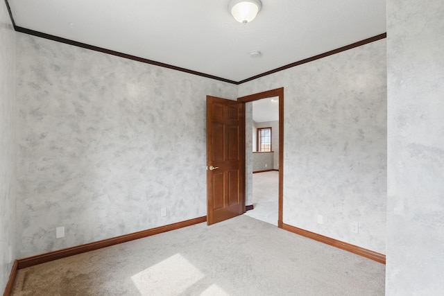 11228 River Rd, Champlin, MN 55316 - carpeted spare room featuring crown molding and baseboards