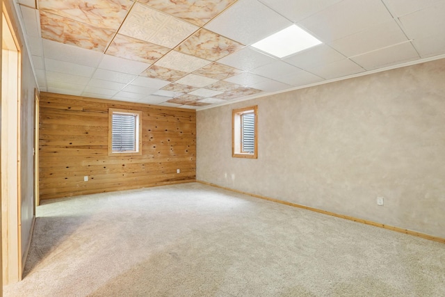 11228 River Rd, Champlin, MN 55316 - carpeted empty room featuring plenty of natural light, a paneled ceiling, wooden walls, and crown molding