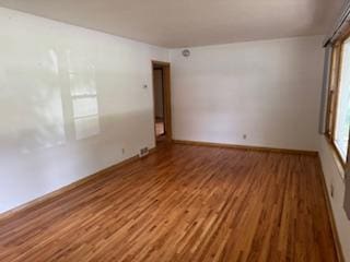 11721 Olive St NW, Coon Rapids, MN 55448 - empty room featuring wood finished floors