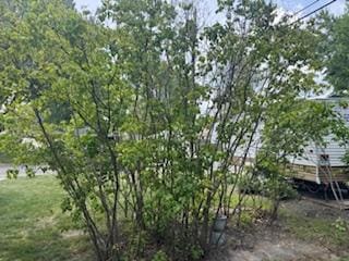 11721 Olive St NW, Coon Rapids, MN 55448 - view of yard