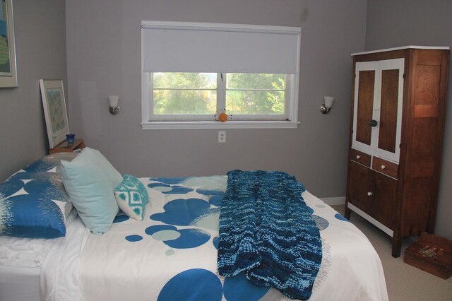 1533 Damon Ct SE, Rochester, MN 55904 - photo 46