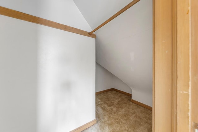 215 Plainview St, Owatonna, MN 55060 - interior space featuring vaulted ceiling and carpet floors
