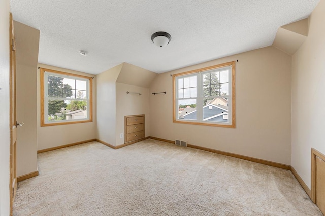 215 Plainview St, Owatonna, MN 55060 - additional living space with vaulted ceiling, carpet floors, healthy amount of natural light, and a textured ceiling