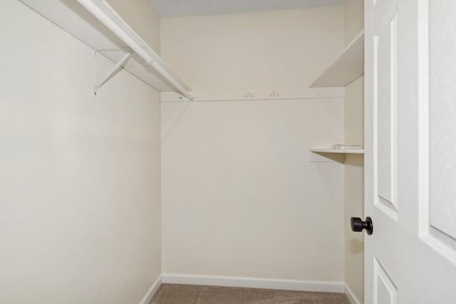 8983 Vinewood Ln N, Maple Grove, MN 55369 - spacious closet with carpet
