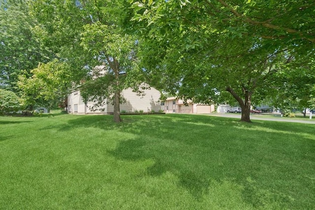 8983 Vinewood Ln N, Maple Grove, MN 55369 - view of grassy yard