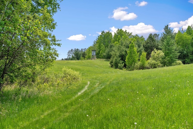 18400 Lundgren Dr, Pine Lake Twp, MN 55735 - view of local wilderness