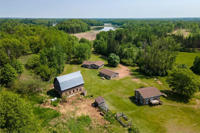 18400 Lundgren Dr, Pine Lake Twp, MN 55735 - drone / aerial view of a forest