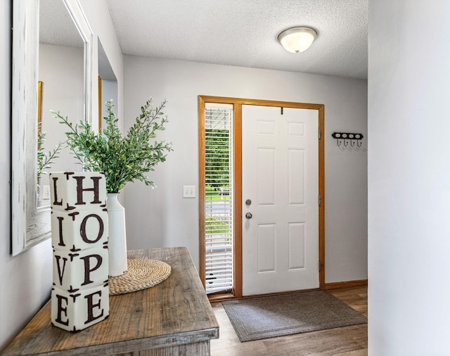 5830 Forest Boulevard Trl, Wyoming, MN 55092 - entryway featuring wood finished floors and a textured ceiling