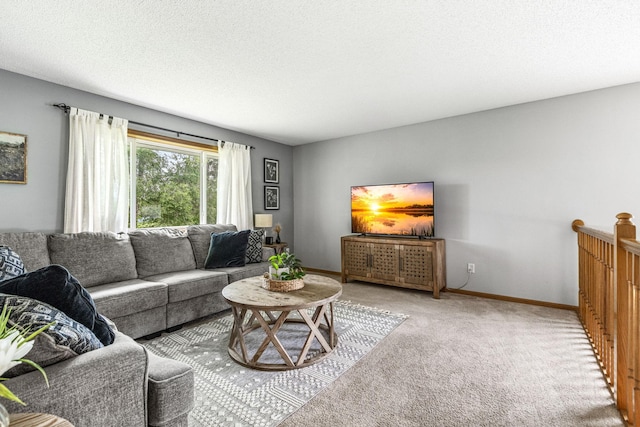 5830 Forest Boulevard Trl, Wyoming, MN 55092 - living room featuring carpet flooring and baseboards