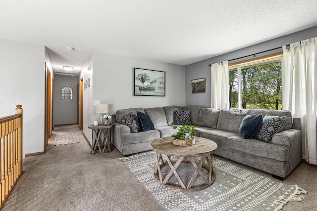 5830 Forest Boulevard Trl, Wyoming, MN 55092 - living room featuring carpet and a textured ceiling
