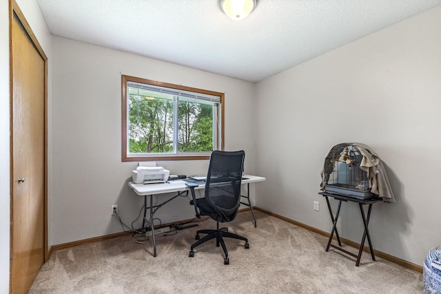 5830 Forest Boulevard Trl, Wyoming, MN 55092 - home office featuring light colored carpet and baseboards