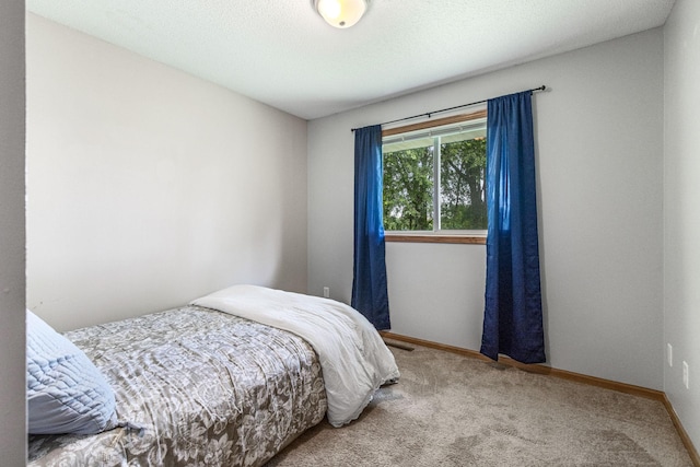 5830 Forest Boulevard Trl, Wyoming, MN 55092 - carpeted bedroom with baseboards