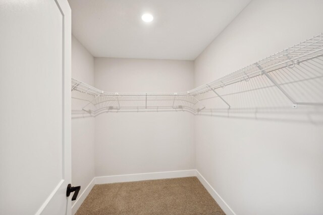 3401 Douglas Dr N, Crystal, MN 55422 - walk in closet featuring light colored carpet