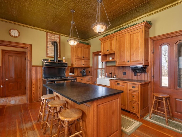 13550 County Road 51, Cologne, MN 55322 - photo 7