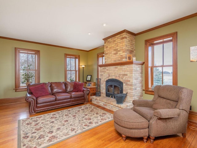 13550 County Road 51, Cologne, MN 55322 - photo 17
