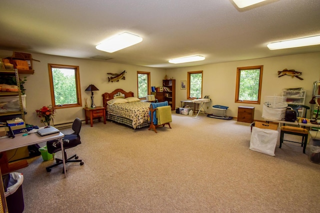 31879 US-71, Park Rapids, MN 56470 - bedroom featuring multiple windows and carpet flooring