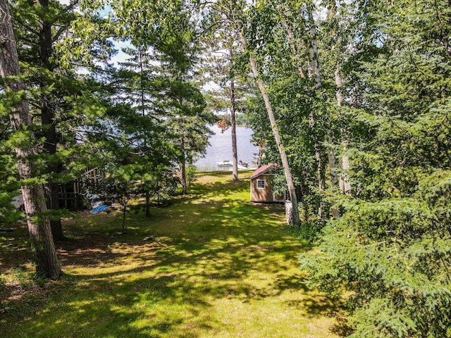 31879 US-71, Park Rapids, MN 56470 - view of green lawn featuring a storage unit