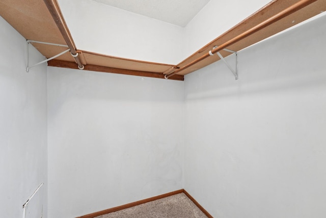 4636 Bower Path, Inver Grove Heights, MN 55076 - photo 14