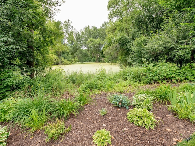 2212 Hydram Ave N, Oakdale, MN 55128 - photo 27