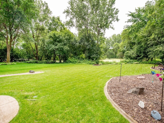 2212 Hydram Ave N, Oakdale, MN 55128 - photo 31
