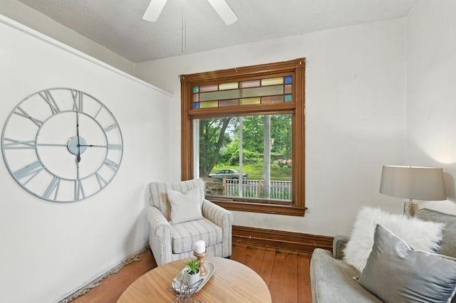 697 Tuscarora Ave, Saint Paul, MN 55102 - sitting room with hardwood / wood-style flooring and ceiling fan
