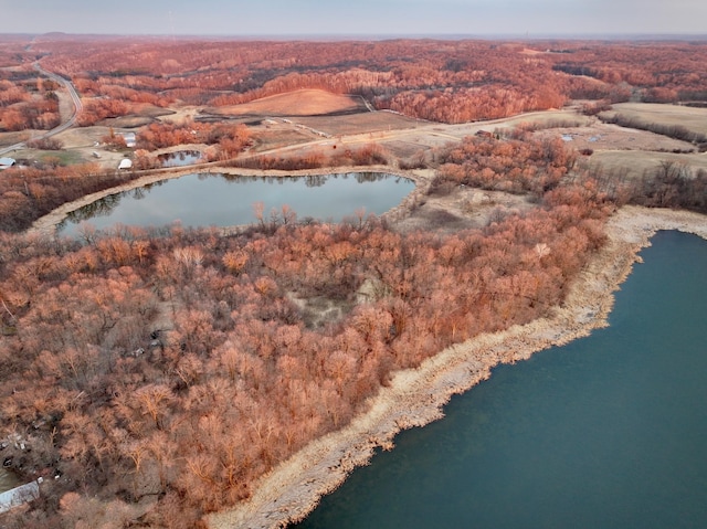 TBD 208th Ave, Erhard, MN 56534 - photo 3