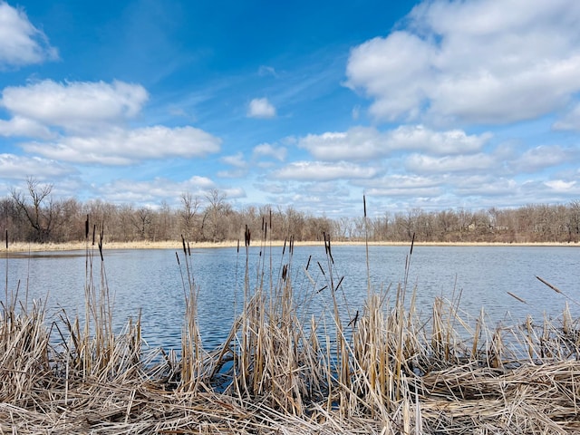 TBD 208th Ave, Erhard, MN 56534 - photo 18