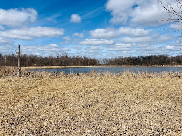 TBD 208th Ave, Erhard, MN 56534 - photo 19