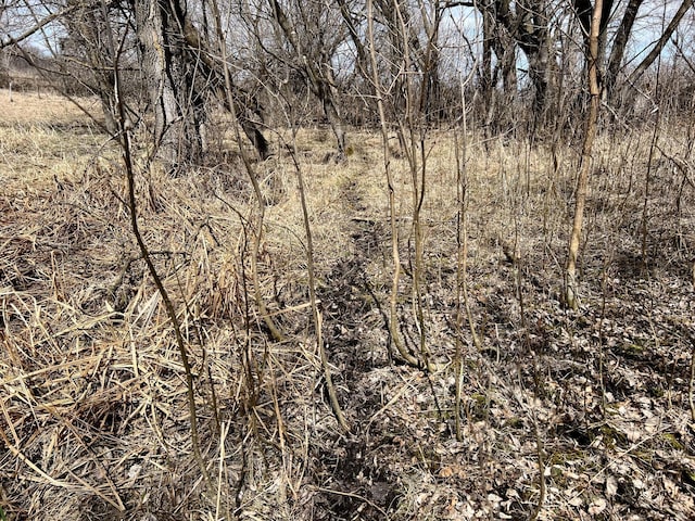 TBD 208th Ave, Erhard, MN 56534 - photo 29