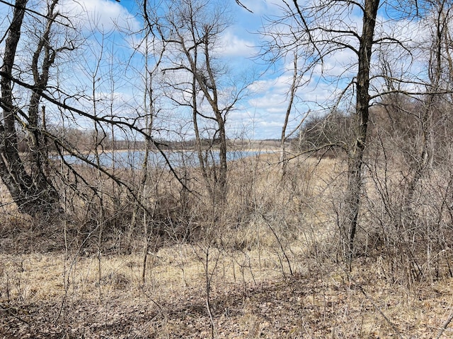 TBD 208th Ave, Erhard, MN 56534 - photo 36