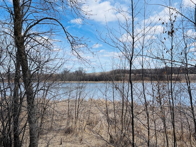 TBD 208th Ave, Erhard, MN 56534 - photo 54
