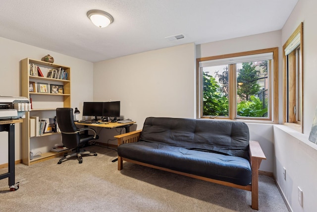 2 Edgcumbe Pl, Saint Paul, MN 55116 - photo 49