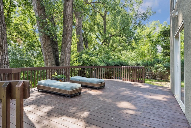 2 Edgcumbe Pl, Saint Paul, MN 55116 - photo 58