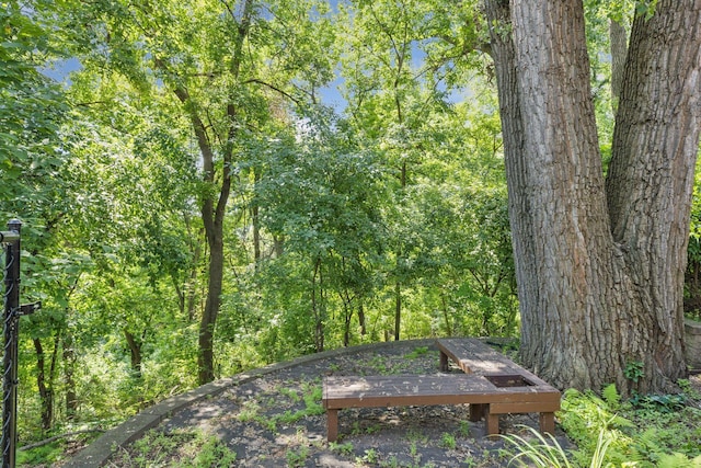 2 Edgcumbe Pl, Saint Paul, MN 55116 - photo 60
