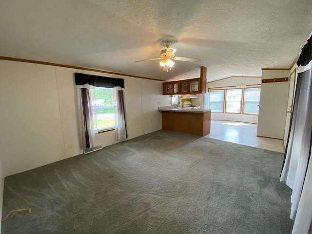 225 Jay St Unit 12, Sandstone, MN 55072 - unfurnished living room featuring ceiling fan, vaulted ceiling, carpet floors, a textured ceiling, and ornamental molding